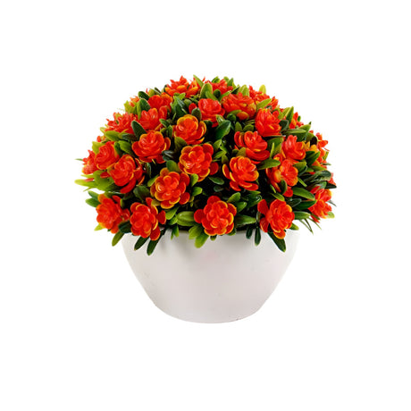 Flower Plant Clover Mix 4 Colors