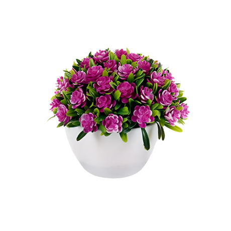 Flower Plant Clover Mix 4 Colors