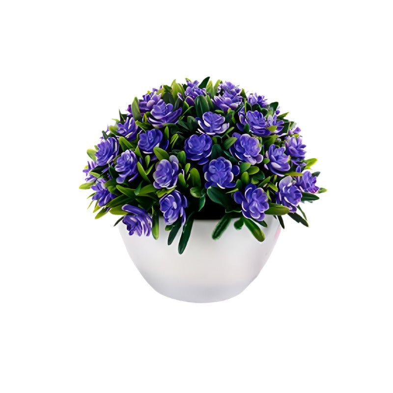 Flower Plant Clover Mix 4 Colors