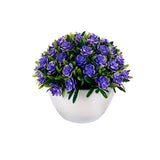 Flower Plant Clover Mix 4 Colors