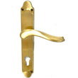 Handle on Plate Satin Gold