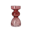Glass Plant Vase 16.7cm