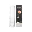 Glass Plant Vase 20.1cm