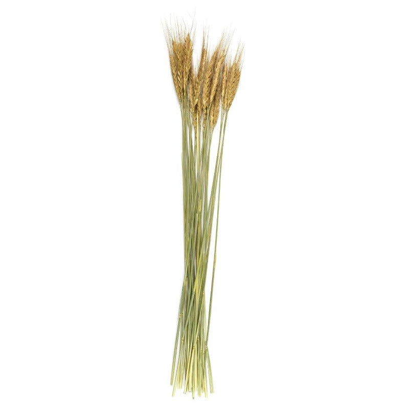 Bouquet Of Dried Flowers