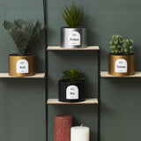 Artificial Plant