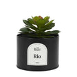 Artificial Plant