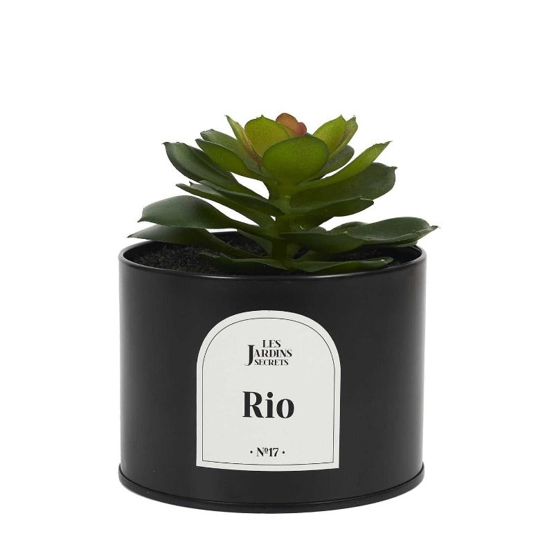Artificial Plant