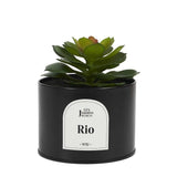 Artificial Plant