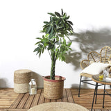 Artificial Plant