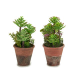 Medium Old Flowerpot Mix 2 Mod