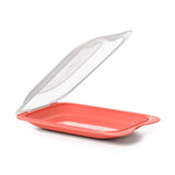 Cold Cuts Container Assorted Colours