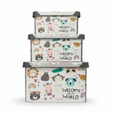 Plastic Storage Box (Set of 3)