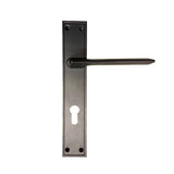 Handle On Plate Titanium