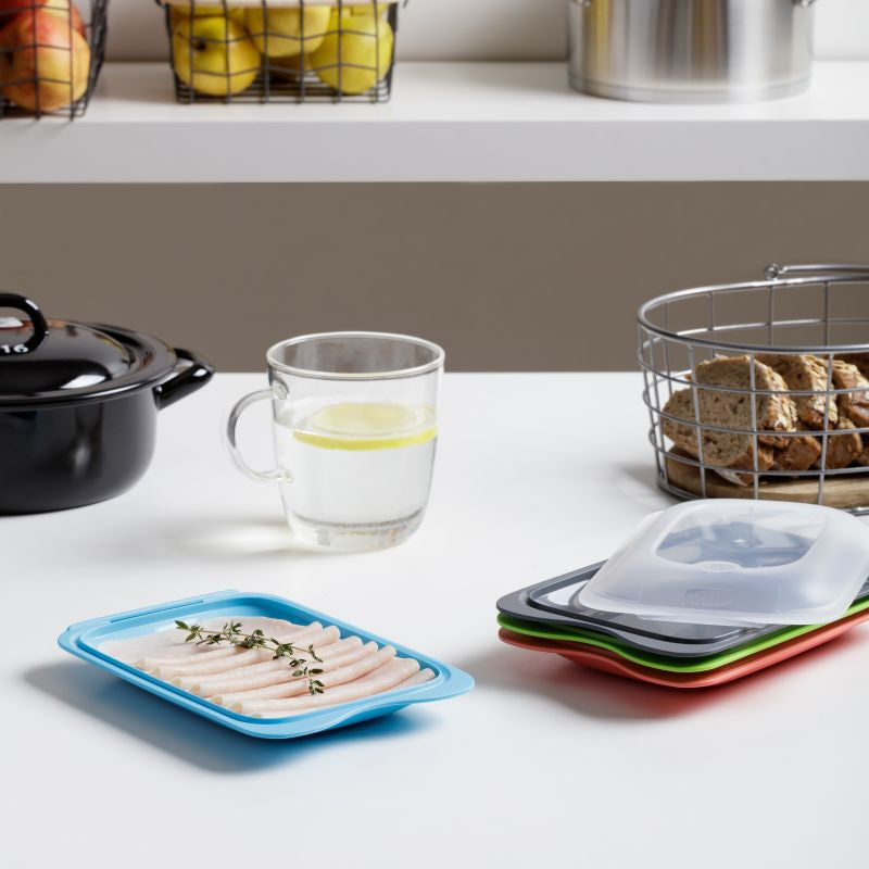 Cold Cuts Container Assorted Colours