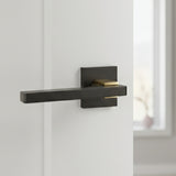 Door Handle On Rose Black