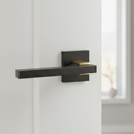 Door Handle On Rose Black