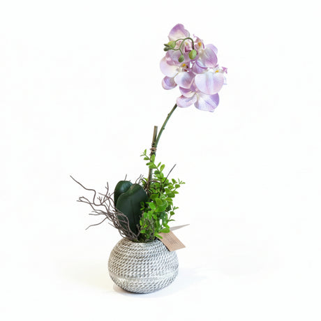 Orchid Low Pot Decorative Table Flower