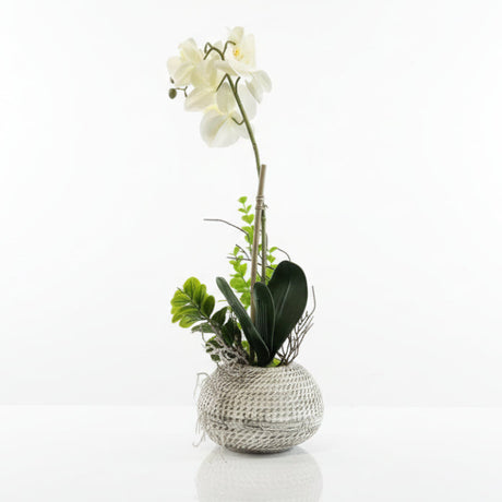Orchid Low Pot Decorative Table Flower