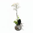 Orchid Low Pot Decorative Table Flower