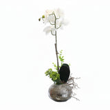 Orchid Low Pot Decorative Table Flower