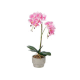 Pink Cement Terracotta Pot 2 Sticks