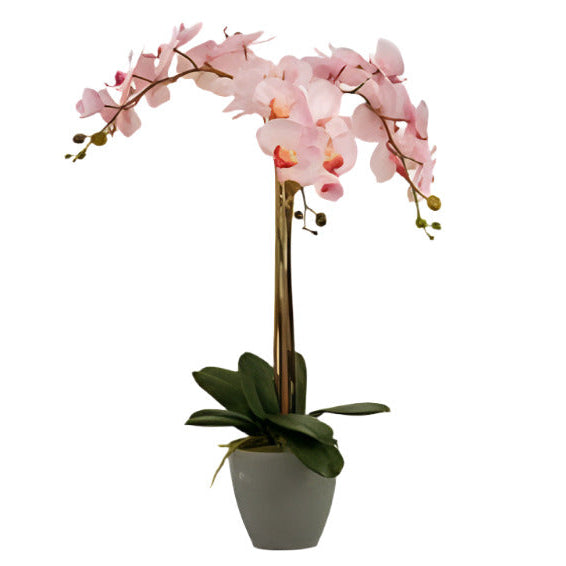 Pink Orchid Grey Conical Jumbo Pot