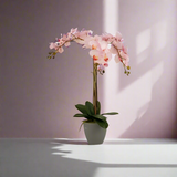 Artificial Pink Orchid Grey Conical Jumbo Pot