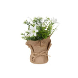 Plant Bag Flowers Medium