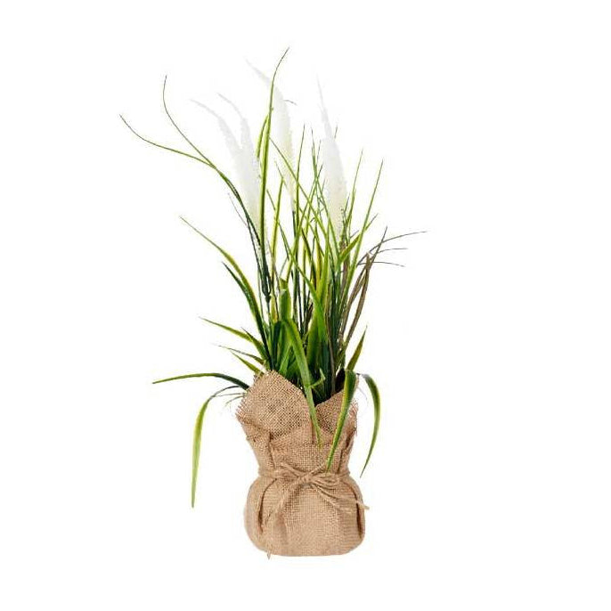 Plant Bag Large Assort 3 Colors