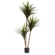 Plant With Large Narrow Blade Pot 200cm