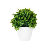 Plastic Pot Green Flowers Large Assort 2