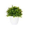 Plastic Pot Green Flowers Large Assort 2