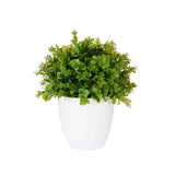 Plastic Pot Green Flowers Large Assort 2