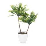 Pot Plant 2 Green Palm Trees Tall