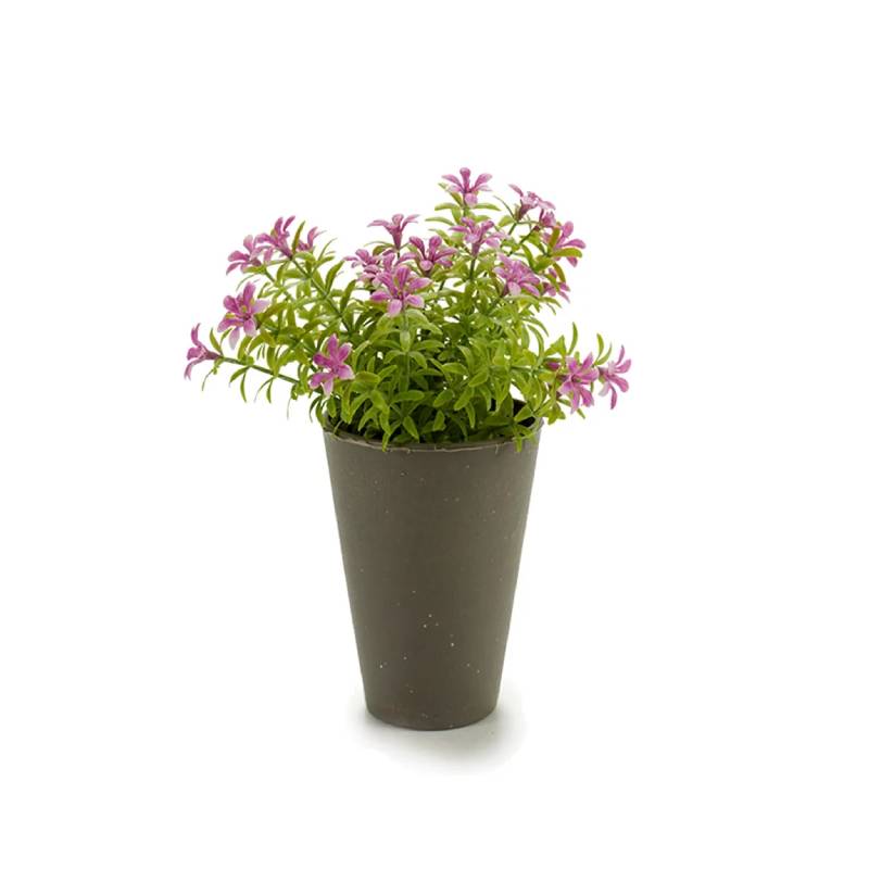 Potted 6 Petals Flowers