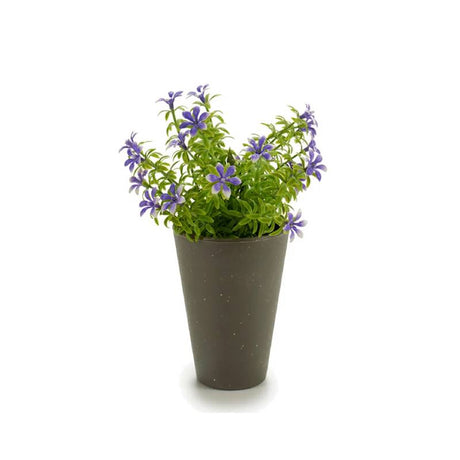 Potted 6 Petals Flowers