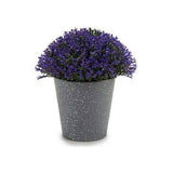 Potted Mini Flowers Grey Dots