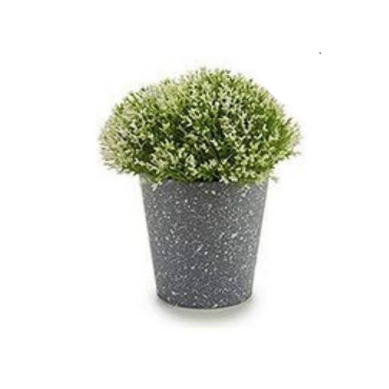 Potted Mini Flowers Grey Dots