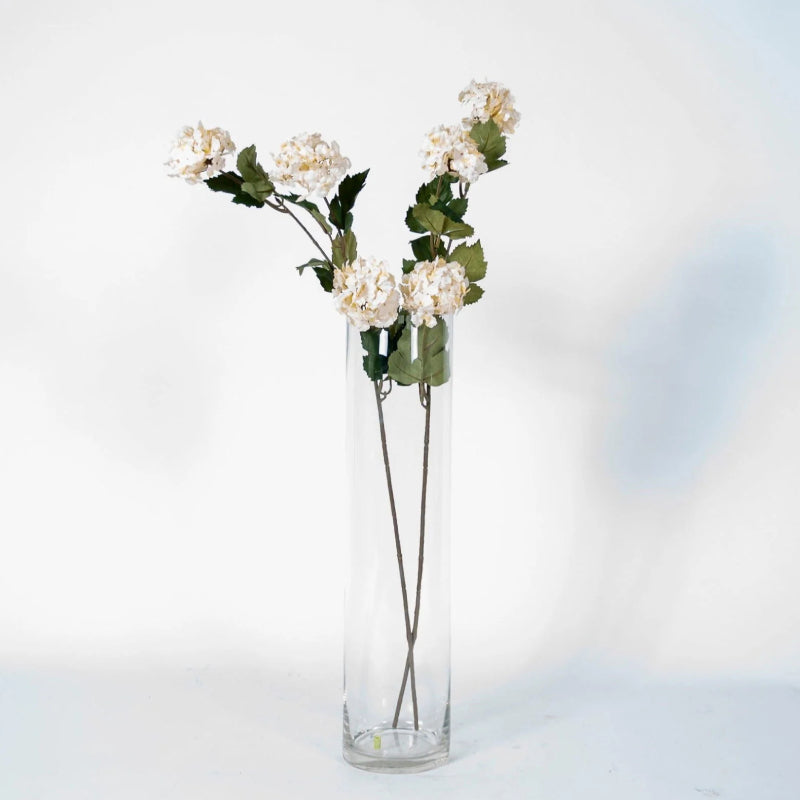 70cm Diam 15cm Cylinder Glass Vase