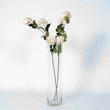 70cm Diam 15cm Cylinder Glass Vase