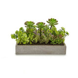 Rectangular Window Box Grey Mix