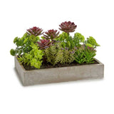Rectangular Window Box Grey Mix