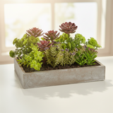 Artificial Plants in Rectangular Box Grey