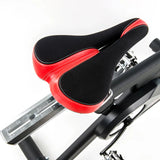 Sole Fitness Spin Exercise Bike 