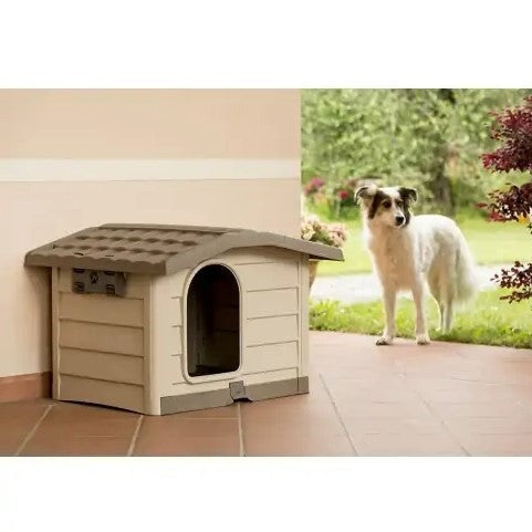 Dog House Bungalow