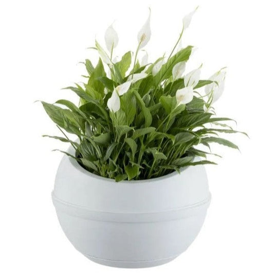 Sfera Planter With Clip-on Saucer White