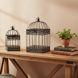 Square Black Metal Cages Set of 2