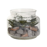 Succulent Plant in Glass Pot