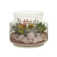 Succulent Plant in Glass Pot
