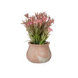 Terracotta Pot With Flowers Low Assort 3 Colors
